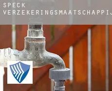 Speck  verzekeringsmaatschappij