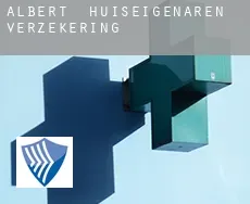 Albert  huiseigenaren verzekering