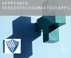 Appregnin  verzekeringsmaatschappij