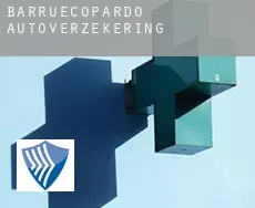 Barruecopardo  autoverzekering