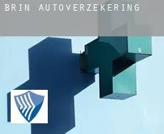 Brin  autoverzekering