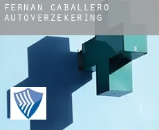 Fernán Caballero  autoverzekering