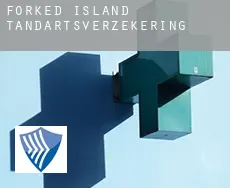 Forked Island  tandartsverzekering