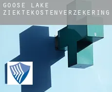 Goose Lake  ziektekostenverzekering