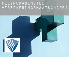 Kleingrabenstedt  verzekeringsmaatschappij
