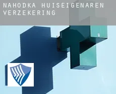 Nahodka  huiseigenaren verzekering