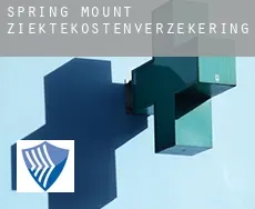 Spring Mount  ziektekostenverzekering