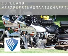Copeland verzekeringsmaatschappij