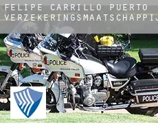 Felipe Carrillo Puerto  verzekeringsmaatschappij