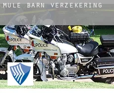 Mule Barn  verzekering