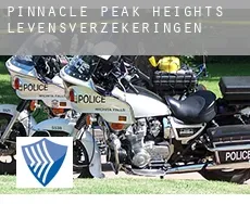Pinnacle Peak Heights  levensverzekeringen