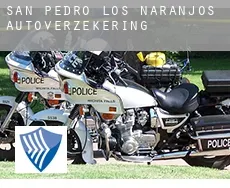 San Pedro de los Naranjos  autoverzekering