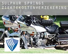 Sulphur Springs  ziektekostenverzekering