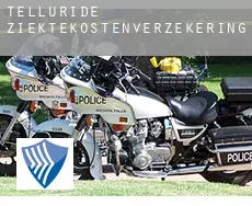 Telluride  ziektekostenverzekering