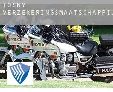 Tosny  verzekeringsmaatschappij