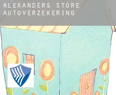 Alexanders Store  autoverzekering