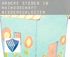 Andere steden in Woiwodschaft Niederschlesien  autoverzekering