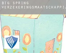 Big Spring  verzekeringsmaatschappij