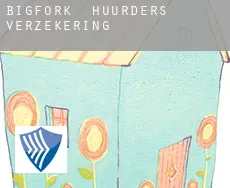 Bigfork  huurders verzekering