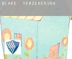 Blake  verzekering