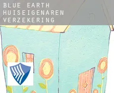 Blue Earth  huiseigenaren verzekering