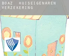 Boaz  huiseigenaren verzekering