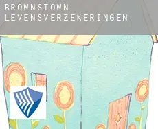 Brownstown  levensverzekeringen