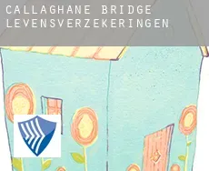 Callaghane Bridge  levensverzekeringen