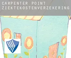 Carpenter Point ziektekostenverzekering