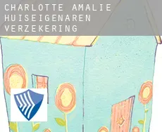 Charlotte Amalie  huiseigenaren verzekering