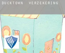 Ducktown  verzekering