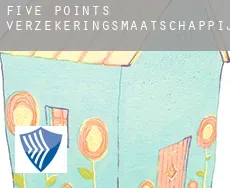 Five Points  verzekeringsmaatschappij