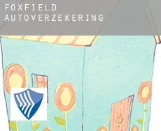Foxfield autoverzekering