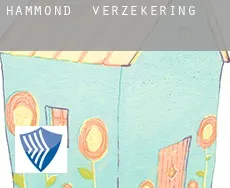 Hammond  verzekering