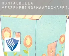 Hontalbilla  verzekeringsmaatschappij