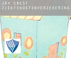 Jay Crest  ziektekostenverzekering