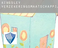 Kingsley  verzekeringsmaatschappij