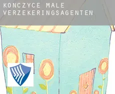 Kończyce Małe  verzekeringsagenten