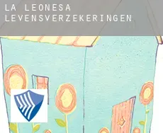 La Leonesa  levensverzekeringen