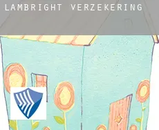 Lambright  verzekering