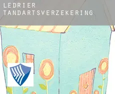 Ledrier  tandartsverzekering