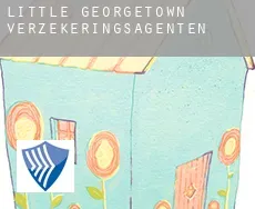 Little Georgetown  verzekeringsagenten