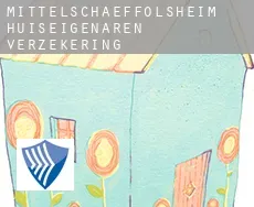 Mittelschaeffolsheim  huiseigenaren verzekering