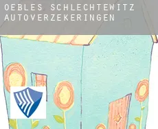 Oebles-Schlechtewitz  autoverzekeringen