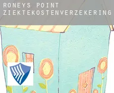 Roneys Point  ziektekostenverzekering