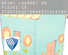 Saint-Laurent-du-Fleuve (census area)  ziektekostenverzekering