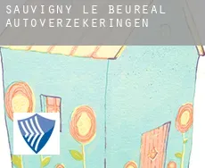 Sauvigny-le-Beuréal  autoverzekeringen