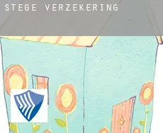 Stege  verzekering