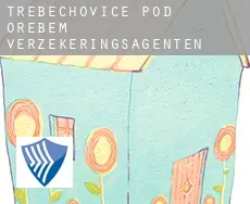 Třebechovice pod Orebem  verzekeringsagenten