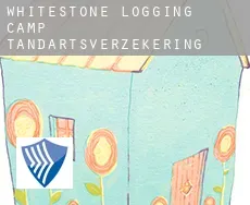 Whitestone Logging Camp  tandartsverzekering